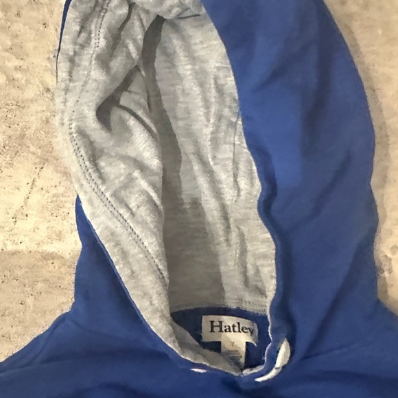 Hatley Blue and Gray Kids Hoodie and Jogger Set - Picture 3 of 6